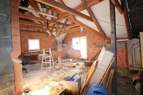 Дом, ферма Рочица: 26