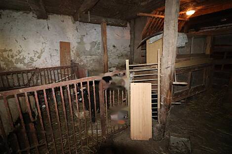 Дом, ферма Рочица: 30