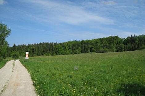 Дом, Ферма Беч: 4