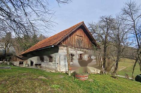 Березовая усадьба, фермерское хозяйство.: 1