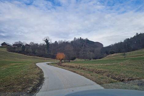 Березовая усадьба, фермерское хозяйство.: 5