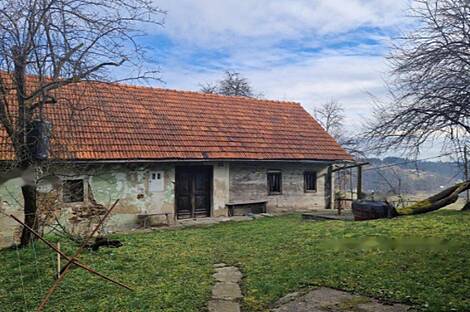 Березовая усадьба, фермерское хозяйство.: 15