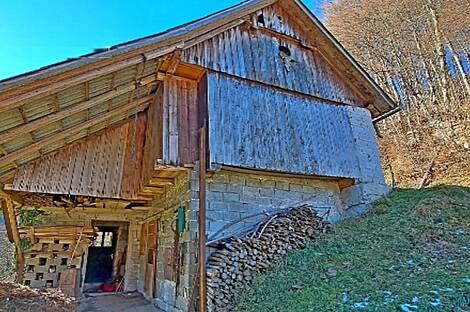 Ферма Чолнище, недвижимость: 19