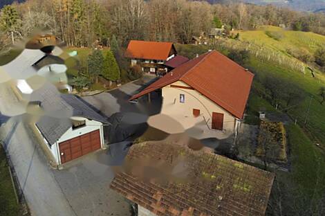 Дом и хозяйство Габрник: 1