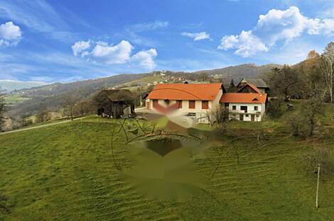 Дом и хозяйство Габрник: 3