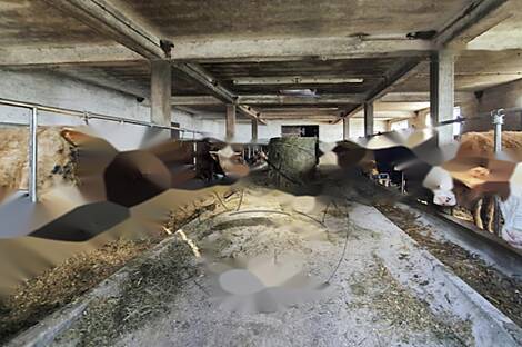 Дом и хозяйство Габрник: 8