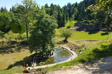 Особняк, Имение Горе: 10