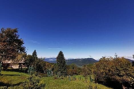 Особняк, Имение Горе: 13