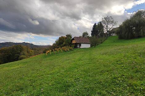 Дом, владение ферма в Каменце: 7