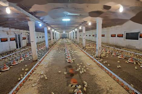 Дом Лапорье рядом со Словенской Бистрицей: 2