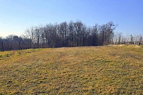 Дом в деревне Сухой Врх: 24