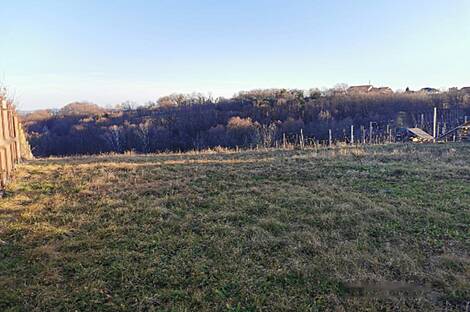 Рачки Верх, дом: 5