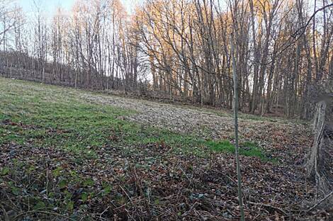 Рачки Верх, дом: 19