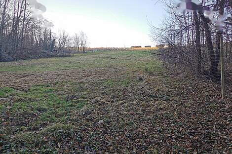 Рачки Верх, дом: 20