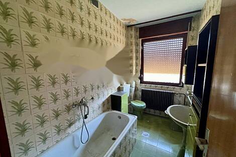 Кот на террасе дома.: 11