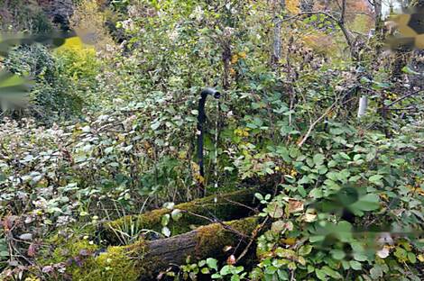 Дом среди природных красот: 12