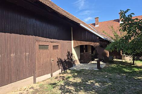 Дом, Зеньковцы: 4