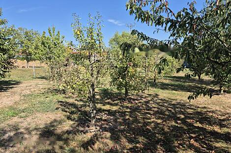 Дом, Зеньковцы: 26