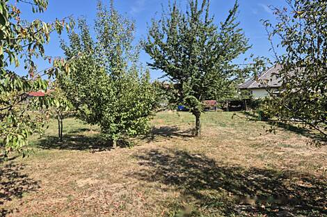 Дом, Зеньковцы: 27