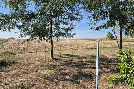 Дом, Зеньковцы: 28