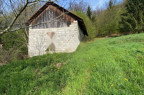 Дом Подлегник Птуй Козминци: 10