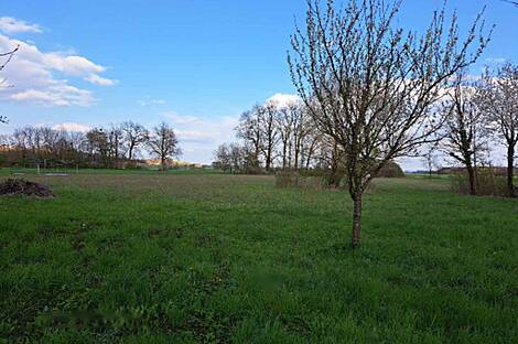 Стреховци, дом: 7