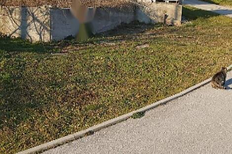 Дом, расположенный в Заречье, рядом с рекой Бистрицей.: 3