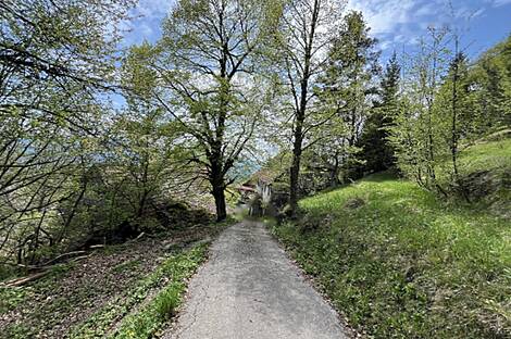 Света Планина, дом 33.: 7