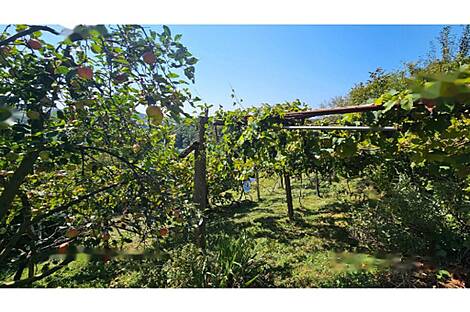 Другой Дом Глобока: 4