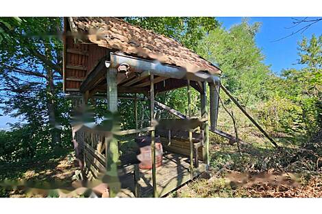 Другой Дом Глобока: 5