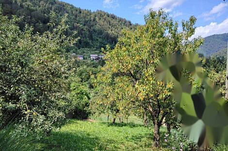 Дом, Храстник.: 17