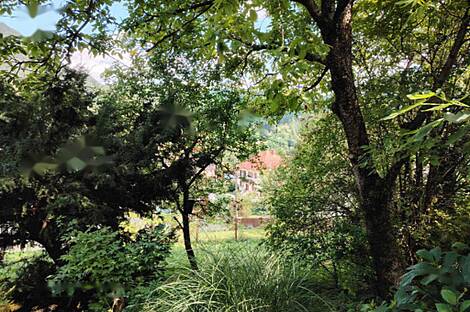 Дом, Храстник.: 20