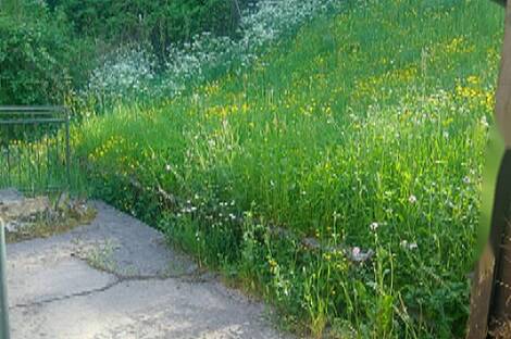 Здание в Идрии Грапа: 6