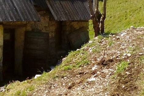 Локовец, дом: 2