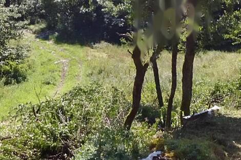 Локовец, дом: 6