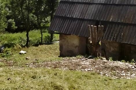 Локовец, дом: 8