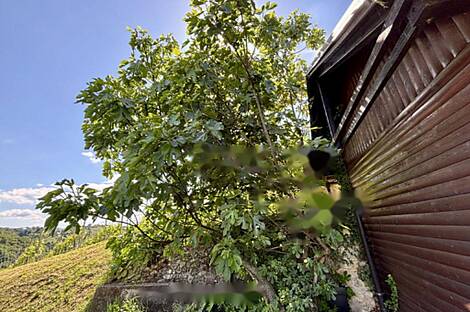 Дом, Белски Врх: 18