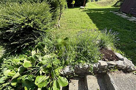 Дом, Белски Врх: 19