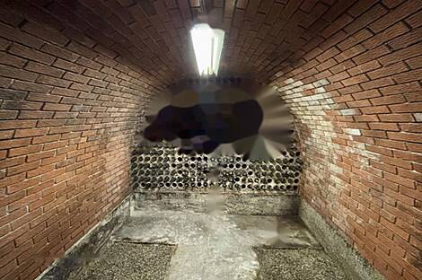 Дом, Белски Врх: 23