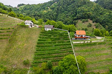 Дом, Майшперк: 3