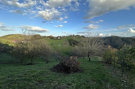 Дом на улице Градища: 7