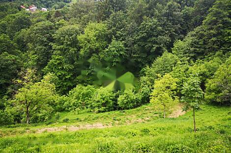 Стари Град, дом, Маколе: 5