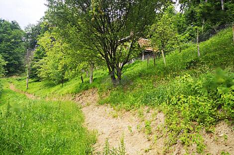 Стари Град, дом, Маколе: 6