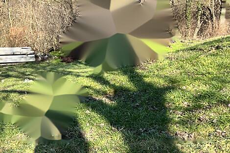 Здание в Бистрице-Сотле: 13