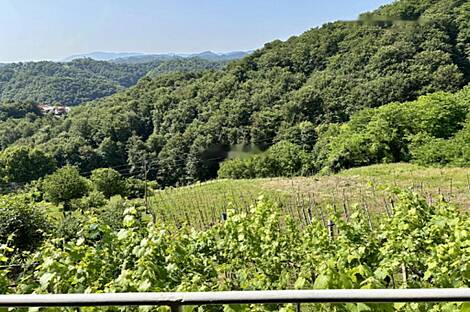 Дом в Бельском Врхе: 6