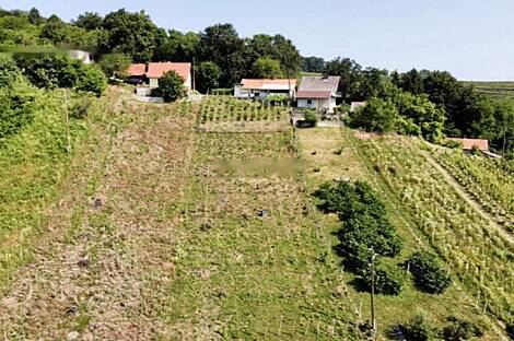 Дом в Бельском Врхе: 9