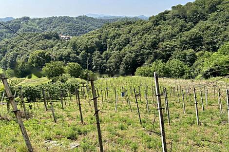 Дом в Бельском Врхе: 16