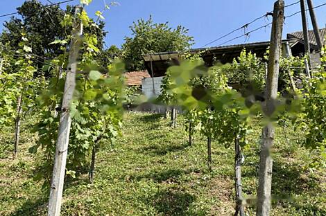 Дом в Бельском Врхе: 18