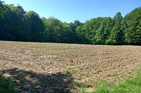 Мощанци, дом: 7