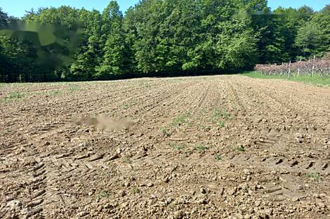 Мощанци, дом: 9